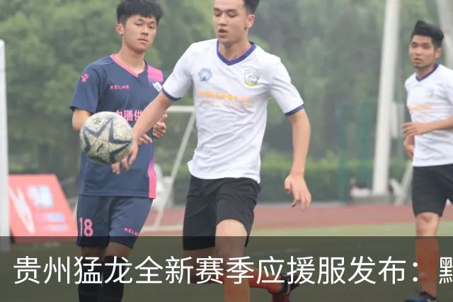 贵州猛龙全新赛季应援服发布：黔虎归来，龙腾四方